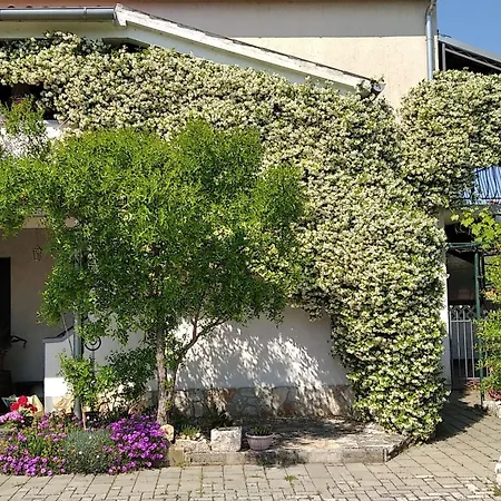 Sasa A2 - Hr-11069-03 By Interhome * Porec